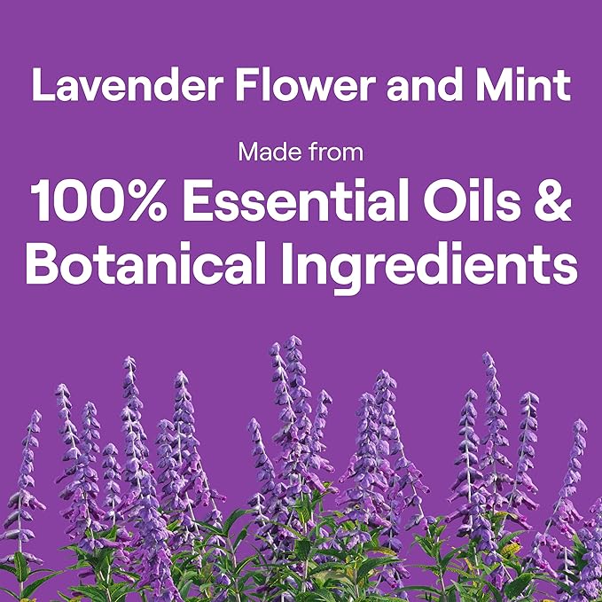 Seventh Generation Dish Soap Liquid Lavender Flower &amp Mint Scent Pack of 6 Dishwashing Soap Dish Detergent Liquid Soap 19 oz