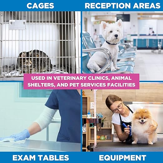 REScue Canister Wipes 12 Pack &amp Bucket Wipes – Disinfectant Cleaner for Vet Use Designed to Clean Kennels Litter Boxes &amp More