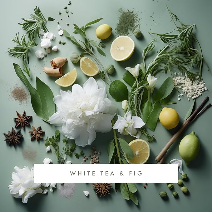 ScentAir Whisper Home Monthly Plug-in Refill Fragrance Cartridge for Home and Office White Tea &amp Fig