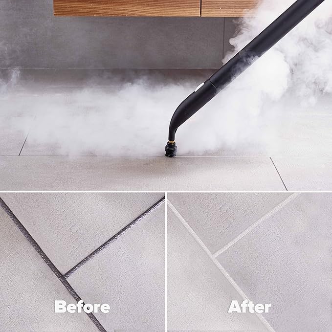 Dupray Neat Plus Steam Cleaner Multipurpose Steamer for Floors Grout &amp Upholstery Chemical-Free Cleaning Fast Heat-Up 40-Piece Accessory Kit
