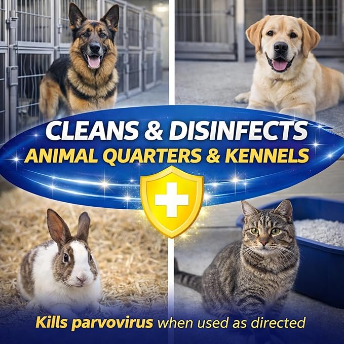 VIREX Diversey CBD540557 All Purpose Disinfectant Cleaner For Home &amp Commercial Use Kills 99.9% of Germs Multi-Surface Lemon Scent 1 Gallon