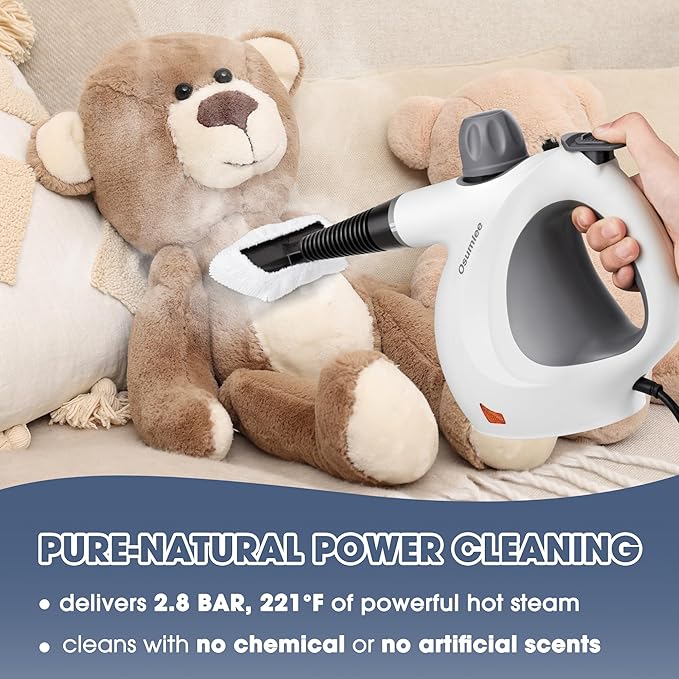 Pressurized Handheld Steam Cleaner with 14 pcs Accessories 15.2OZ Multi-Purpose Portable Steamer for Cleaning Multi-Surface Steamer for Home Floor Grout