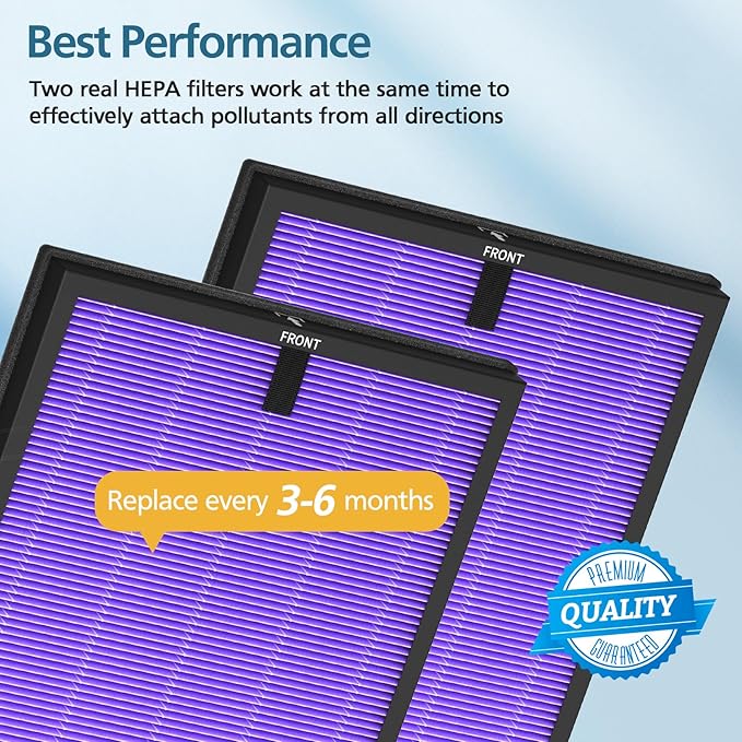 2 Pack HY4866 Multifunction Replacement Filters for MORENTO HY4866 WESTHEY HY4866 YIOU M1 Air Purifier 3-in-1 HEPA Filter with High-Efficiency Activated Carbon Filter Multifunction Version