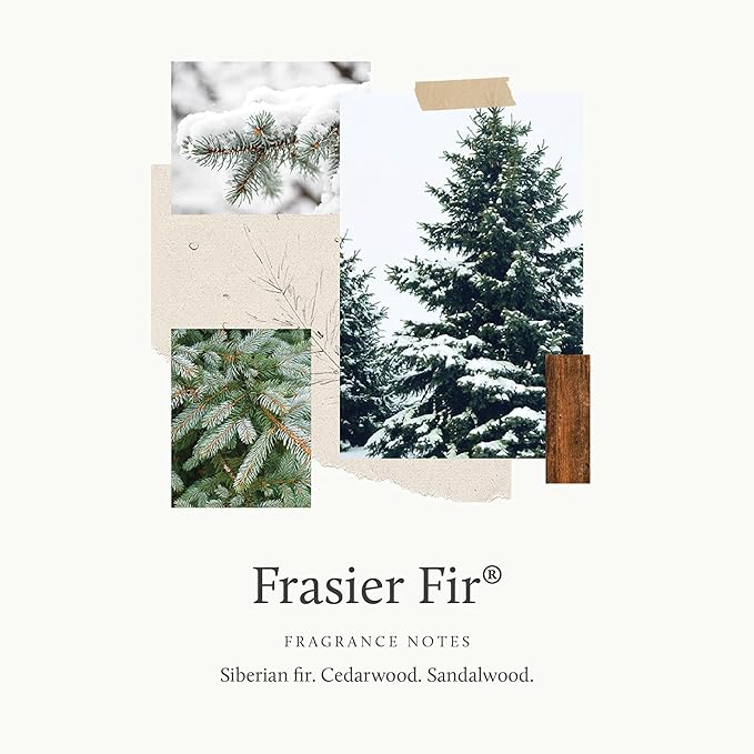 Thymes Frasier Fir Pine Needle Candle – Holiday Candles for Home Scented with Notes of Crisp Siberian Fir Cedarwood &amp Sandalwood – Christmas Decor – Christmas Gifts for Women &amp Men (13 oz)