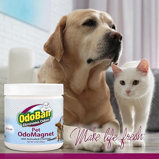 OdoBan OdoMagnet Pet Odor Eliminator with Activated Charcoal 14 Ounce 9-Pack Fresh Air Scent