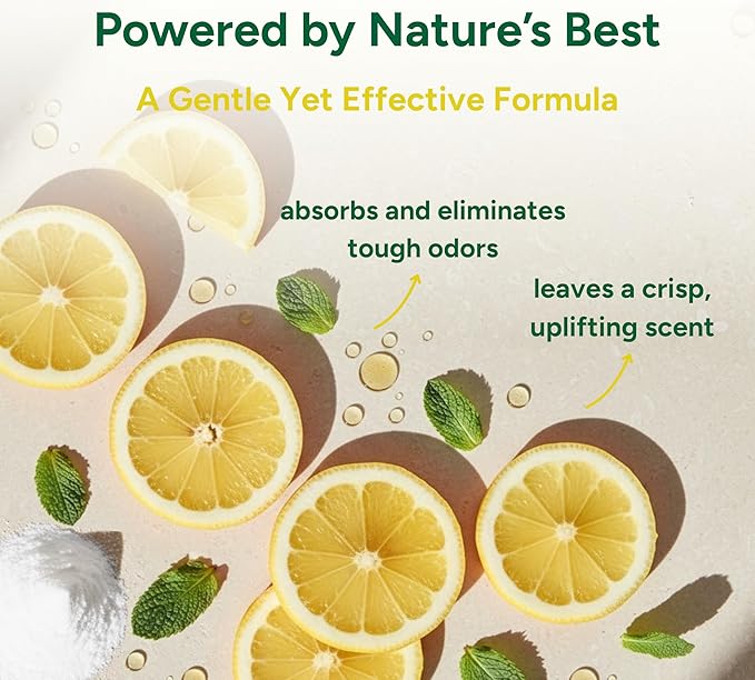 Good Natured Brand | Carpet Deodorizer 31 oz Lemon Love &amp All-Purpose Cleaner Concentrate 8 oz Lemon Love