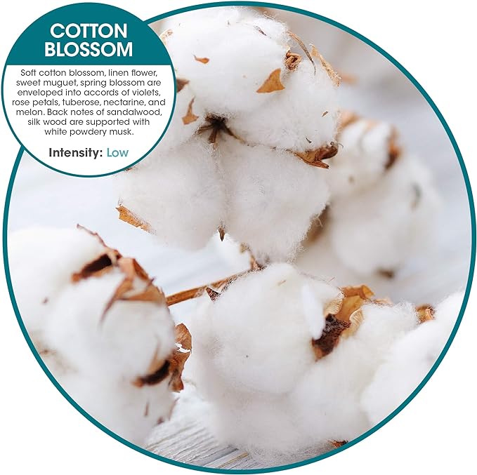 Fresh Products ourfreshe Plug In Air Freshener 30 Day Refills Replace Messy Aerosols with Dry Fragrance For Use in Medium Sized Spaces Cotton Blossom 6 Pack