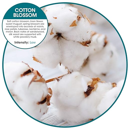 Fresh Products ourfresh 2 Air Freshener Replace Metered Aerosol with Dry Fragrance 30 Day Use Medium Sized Spaces Light Activated Battery Operated Batteries Included Cotton Blossom 8 pk