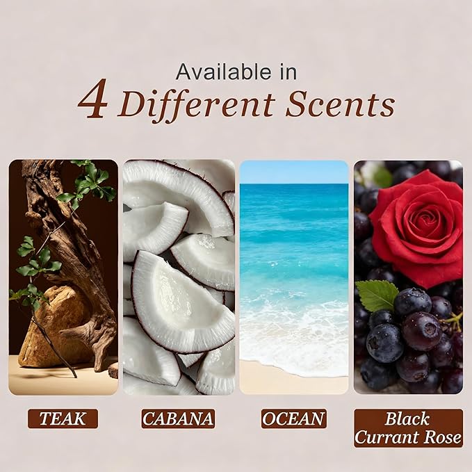 Car Air Freshener Wood Air Freshener Car Odor Eliminator for Visor Clip 4-Pack Variety Scent Refill Long Lasting - CLIP INCLUDED (Teak-Cabana-Ocean-Black Currant Rose)