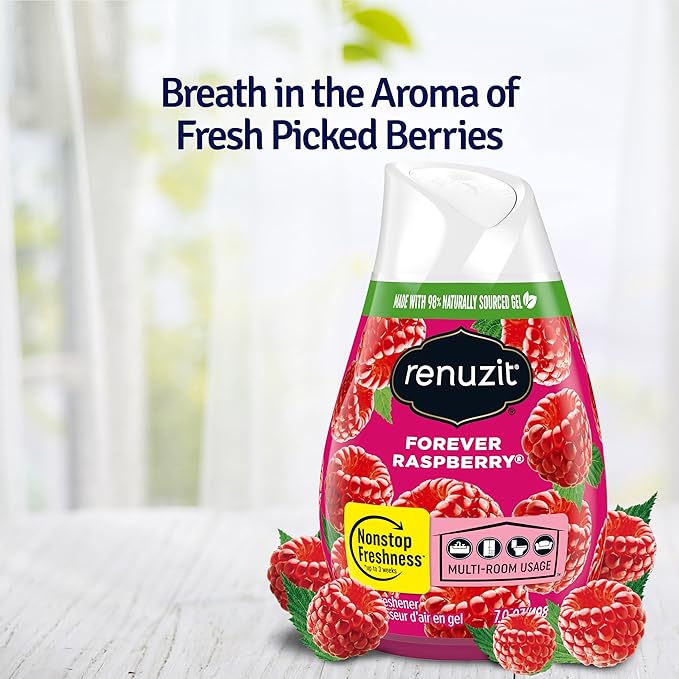 Renuzit Gel Air Freshener Forever Raspberry 12 Count
