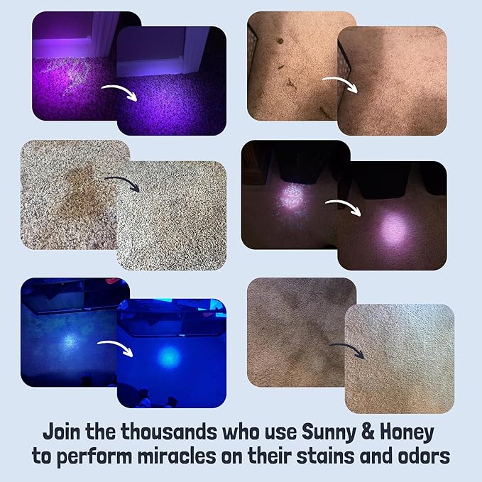 Sunny &amp Honey Pet Stain and Odor Remover - Enzyme Cleaner for Dog Urine and Poop on Carpets and Furniture - Strong Pet Carpet Cleaner Spray (32fl oz Fall Spice)