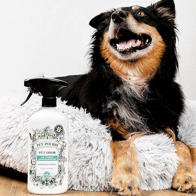 Pet-Pourri Pet Odor Air + Fabric Odor Freshener Spray Pawsitively Fresh 16 Fl Oz (Pack of 2)