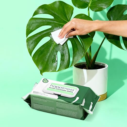 happimess WPE1000A-4SET Plant Cleaning Wipes Gently Cleans &amp Shines Houseplant Leaves Dust Remover with Aloe Vera Shea Butter &amp Chamomile 400 Count (Pack of 4)