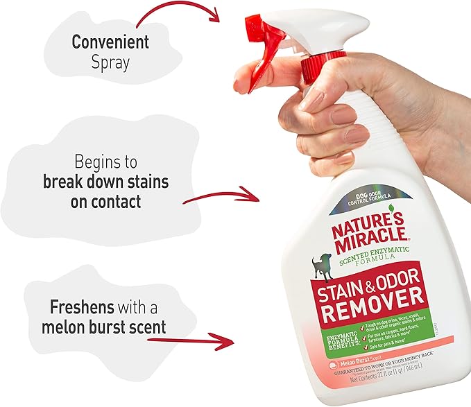 Nature's Miracle Dog Stain and Odor Remover Everyday Mess Enzymatic Formula Melon Burst Scent 32 oz