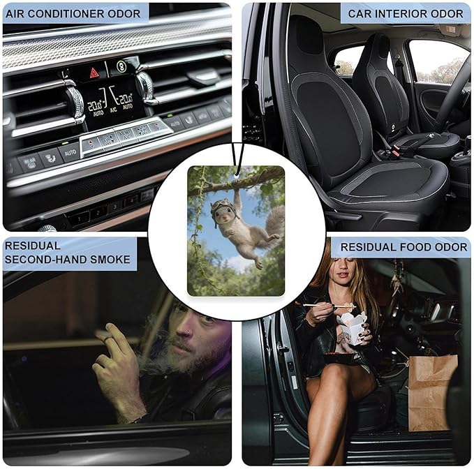 5PCS Car Air Freshener Hanging Personalized Double Sided Squirrel Swinging Car Fresheners Long Lasting New Cars Scents Cute Automotive Freshies for Closets Drawers (tea)