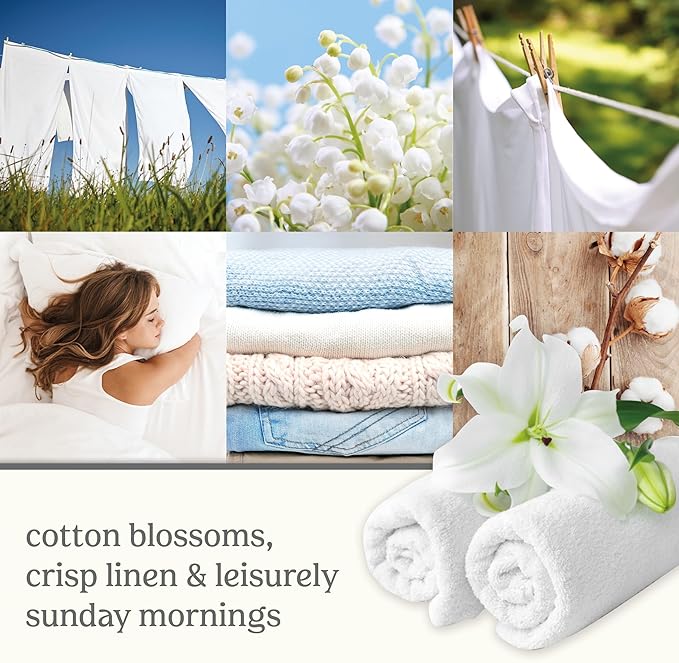 Yankee Candle ScentPlug Refill Clean Cotton 0.625 Fl OZ (Pack of 4)