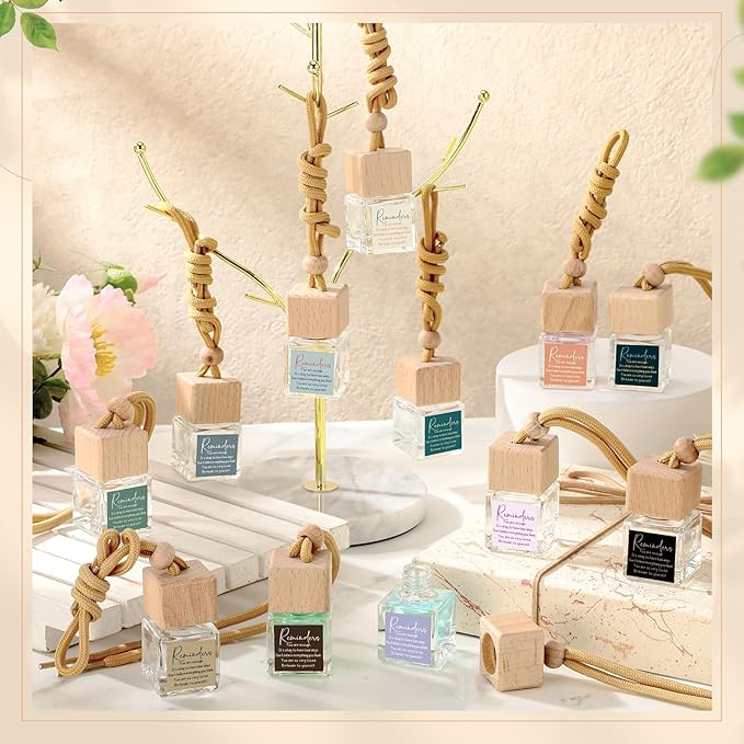 48 Pcs Employee Appreciation Gifts Bulk Car Air Freshener Diffuser Essential Oil Diffuser Office Gifts for Coworkers Staff Thank You Inspirational Teachers