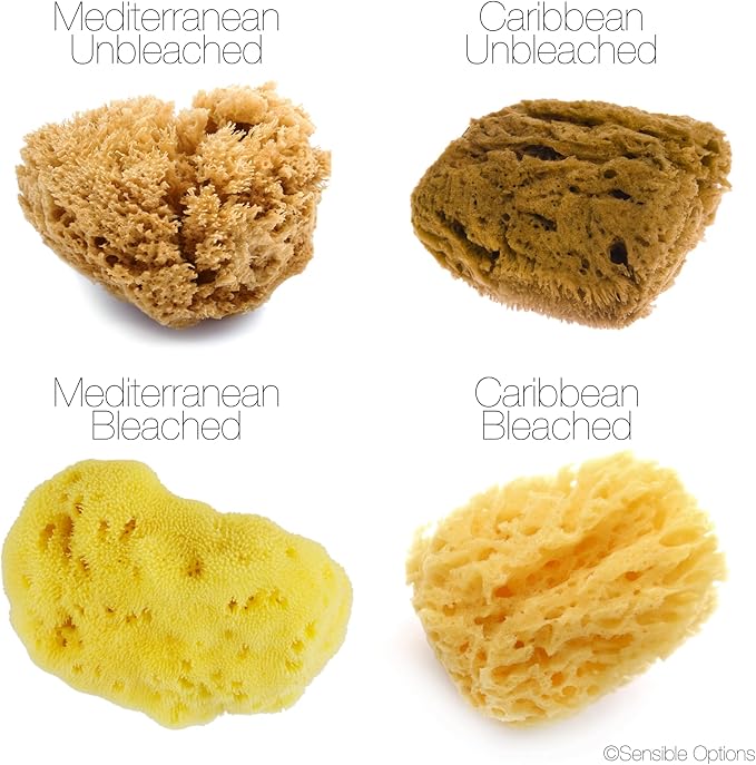 IntimateCare Sea Sponges. 3X 5.5-6.5cm Mediterranean Sponges in Plastic Free Packaging. Absolute Quality. (Natural Brown 5.5-6.5cm)