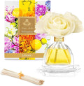 AGRARIA Monique Lhuillier Limone Scented AirEssence Diffuser 7.4 Ounces with Reeds and Flowers