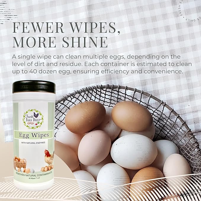 Fresh Eggs Daily Egg Wipes – Enzyme-Based Egg Cleaner for Backyard Chickens No Rinse Needed Natural Enzyme Formula - Natural Cleaning Wipes (2-Pack)