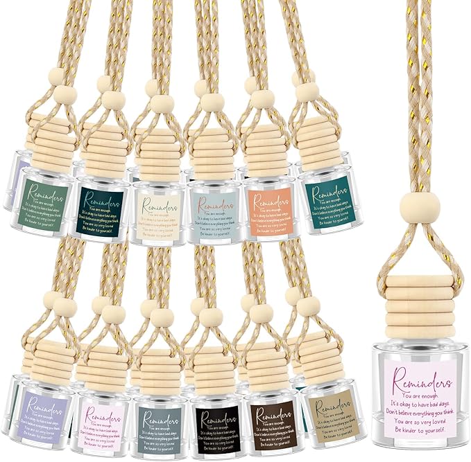 24 Pcs Employee Appreciation Gifts Bulk Car Air Freshener Diffuser Essential Oil Diffuser Office Gifts for Coworkers Staff Thank You Inspirational Teachers