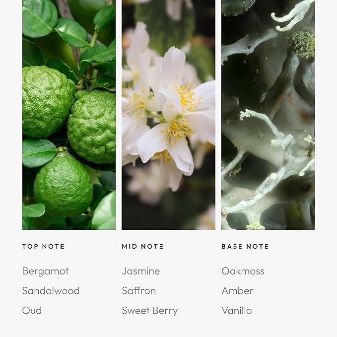 Aroma360 - Chandelier Fragrance Oil Blend | Hotel Inspired for Luxury Essential Oil Diffusers | Aromatherapy Scent Diffuser Oil | Bergamot Woodsy Sandalwood and Flirtatious Saffron - 50ML