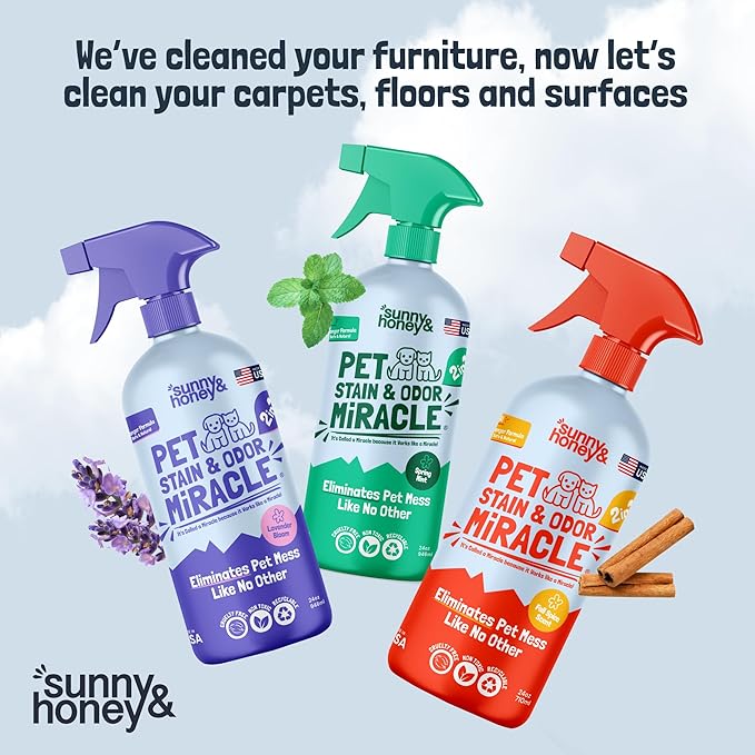 Sunny &amp Honey Upholstery Cleaner Spray - No Discoloration - Pet &amp Kid Safe Stain Remover - Multi-Surface Furniture &amp Sofa Cleaner Spray - Fast-Drying Pet Stain Remover (32 fl oz Mint)