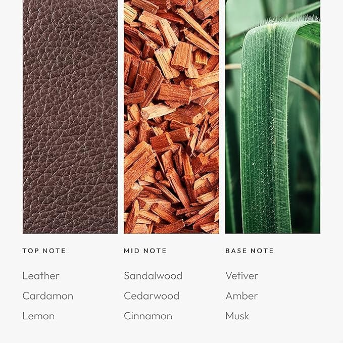 Aroma360 - My Way Fragrance Oil Blend - Hotel Inspired for Luxury Essential Oil Diffusers - Aromatherapy Scent Diffuser - Lush Sandalwood Warm Cedar and Delicate Florals - 50ML