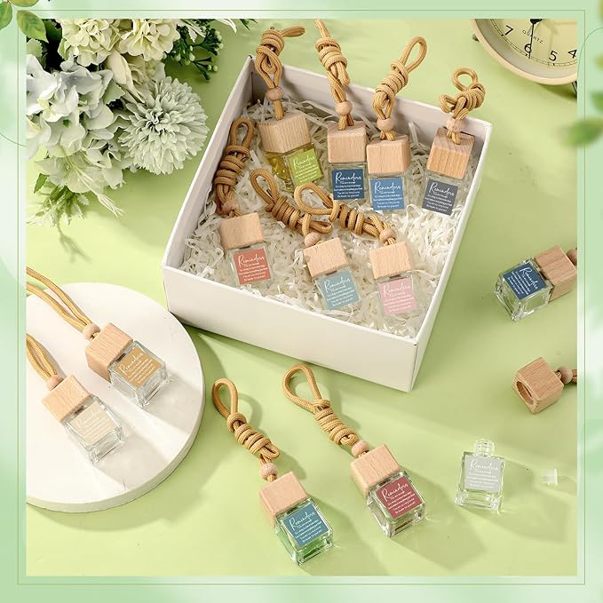 24 Pcs Employee Appreciation Gifts Bulk Empty Glass Essential Oil Diffuser Car Air Freshener Diffuser Hanging Ornament for Coworkers Office Staff