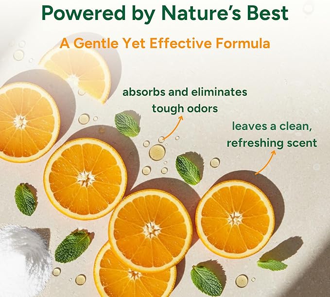 Good Natured Brand | Carpet Deodorizer 31 oz Orange &amp All-Purpose Cleaner Concentrate 8 oz Orange