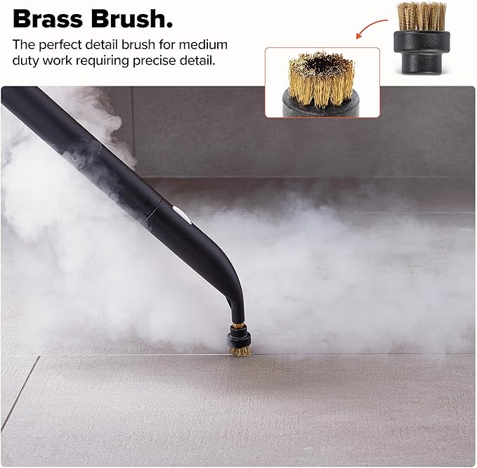 Dupray Small Brushes – Brass Horsehair Nylon &amp Stainless Steel Accessory Parts for Steam Cleaner – Brush Head for Cleaning Grout Tile Oven Car BBQ Kitchen and Bathroom (10) (Assorted Brushe