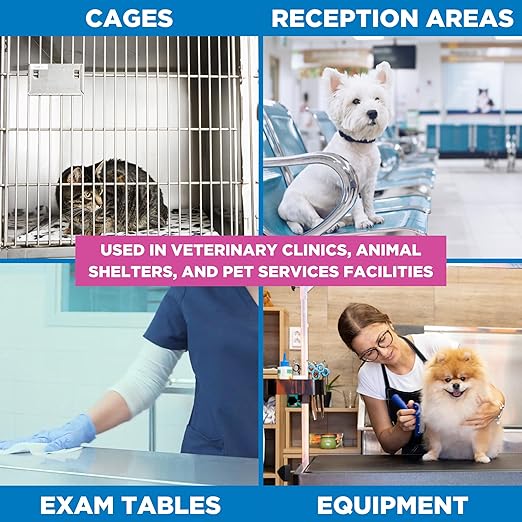 Rescue Bucket Wipes 8 Pack &amp Bucket Refill Wipes 8 Pack – Disinfectant Cleaner for Vet Use Designed to Clean Kennels Litter Boxes &amp More
