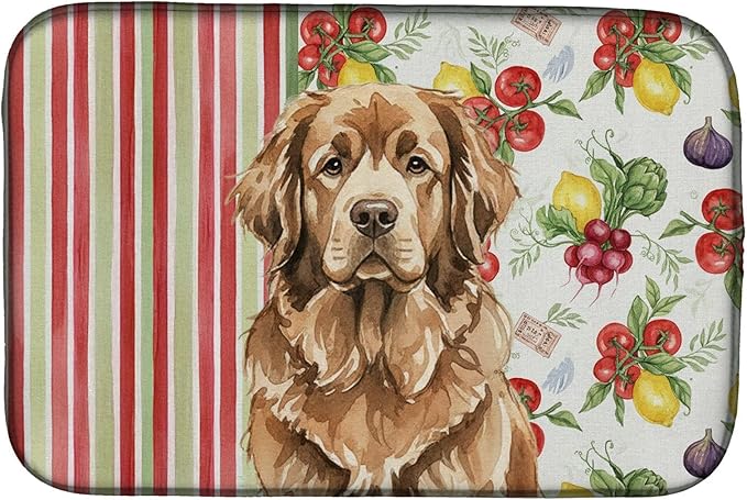 Caroline's Treasures Brown Newfoundland Vegetables Dish Drying Mat Absorbent Dish Drying Mat Pad for Kitchen Counter Dish Drainer Mat for Countertop 14 x 21 Multicolor