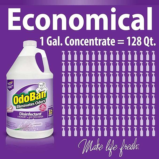 OdoBan Ready-to-Use Disinfectant and Odor Eliminator Made in the USA Lavender Scent Set of 2 32 oz Spray and 1 Gallon Concentrate