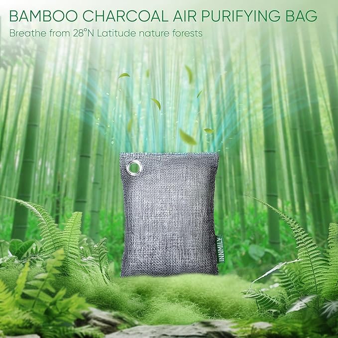 Activated Charcoal Odor Absorber Odor Eliminator for Strong OdorBamboo Charcoal Air Purifying Bags for Home Car Closet Pet Smoke Room Deodorizer (10 x 100g Unscented)