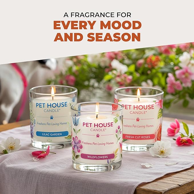 One Fur All Pet House Candle 2 Pack - Plant-Based/Soy - Clean Burning Scented Long Lasting Pet Odor Candle for Home - Vanilla Sandalwood