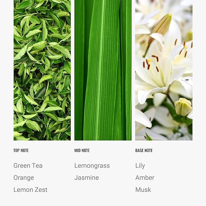 Hotel Collection Diffuser Oil - California Love - Aromatherapy Essential Fragrance Oil - Green Tea Orange and Lemongrass - 500mL 16.9 Fl oz