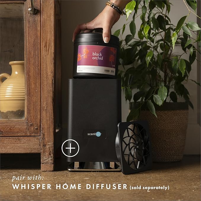 ScentAir Whisper Home Monthly Plug-in Refill Fragrance Cartridge for Home and Office Black Orchid