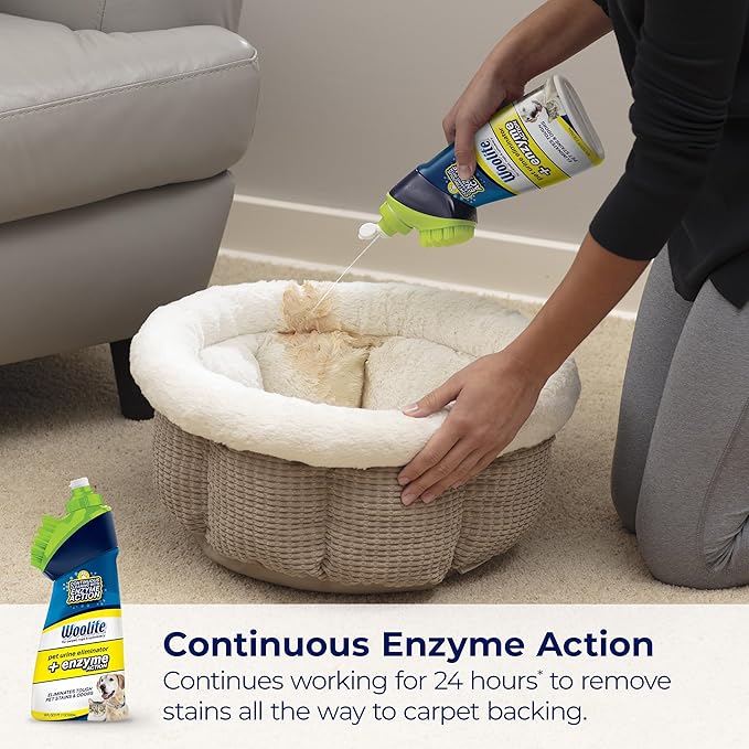 Bissell Woolite Pet Urine Eliminator with BrushHead 4PK 3773L