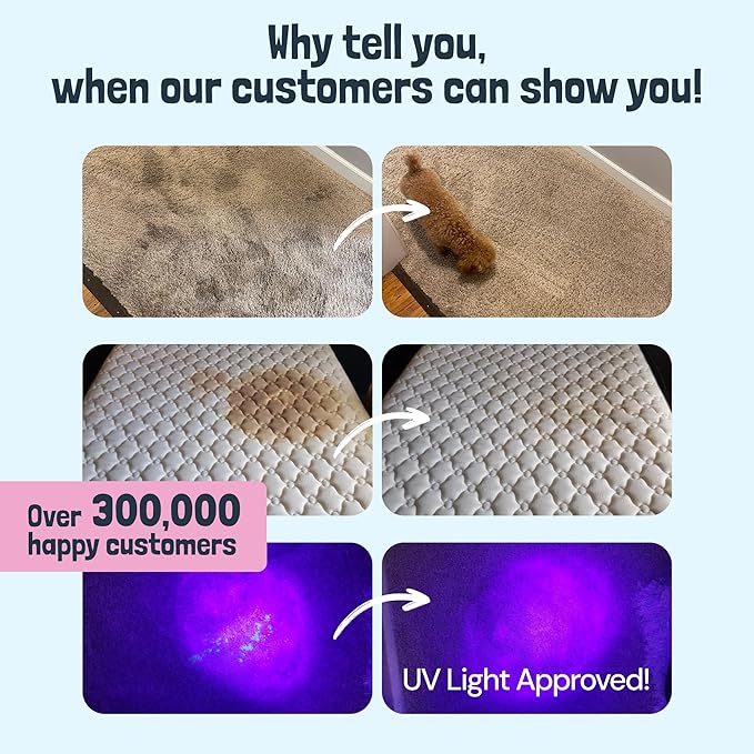 Sunny &amp Honey Carpet Cleaner Solution - Deep Stain Remover &amp Odor Deodorizer - Pet Carpet Cleaner &amp Rug Shampoo (32 Fl Oz Light Lavender)