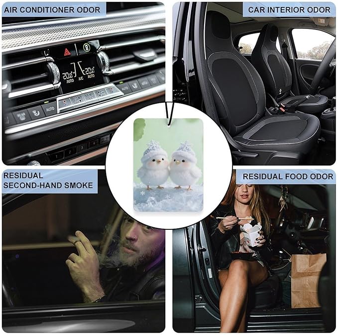 5PCS Car Air Freshener Hanging Personalized Double Sided Snowy Chicks Car Fresheners Long Lasting New Cars Scents Cute Automotive Freshies for Closets Drawers (tea)