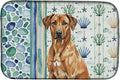 Caroline's Treasures Rhodesian Ridgeback Coastal Sea Glass Dish Drying Mat Absorbent Dish Drying Mat Pad for Kitchen Counter Dish Drainer Mat for Countertop 14 x 21 Multicolor