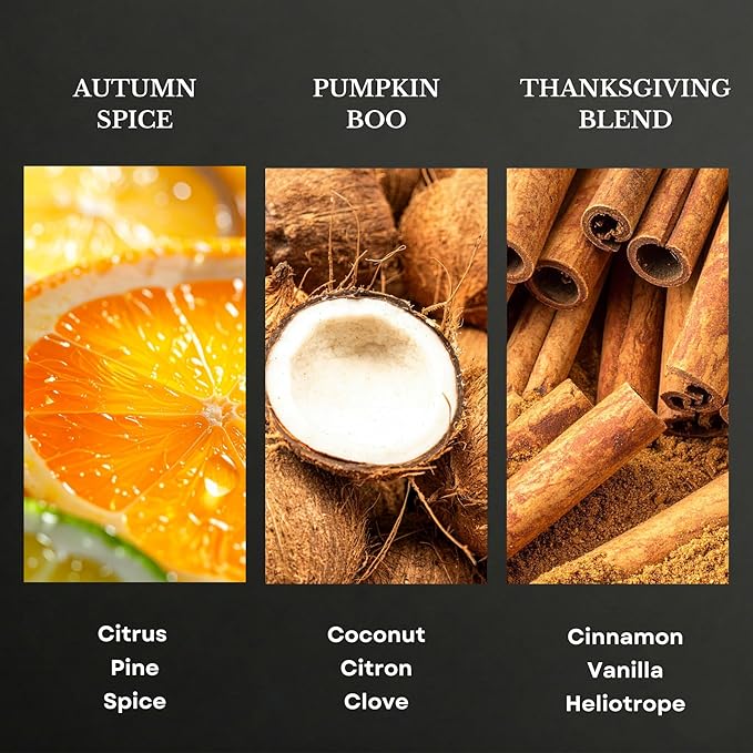 Scentia Pumpkin Vanilla Bakery Aromatherapy Diffuser Oil Collection – Essential Oil Blend for Candles Home &amp DIY Cozy Scents 3x20ml Discovery Set