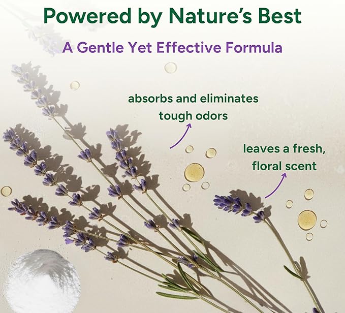 Good Natured Brand | Carpet Deodorizer 31 oz Lavender &amp All-Purpose Cleaner Concentrate 8 oz Lavender