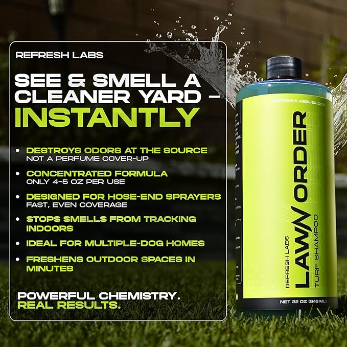 LawN Order Artificial Turf Cleaner &amp Odor Eliminator – Enzyme Powered Pet &amp Kid Safe Removes Pet Mess Smells (1 GAL + 32 OZ + Hose)
