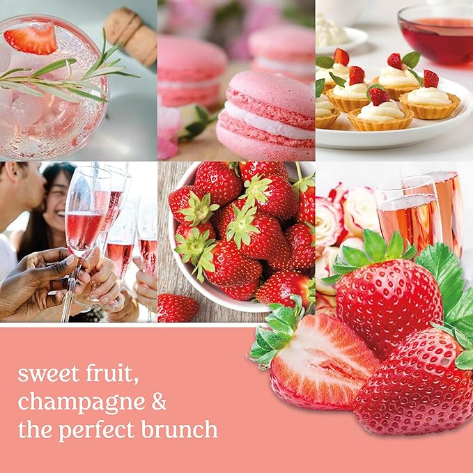 Yankee Candle ScentPlug Refill White Strawberry Bellini 1 CT (Pack of 4)