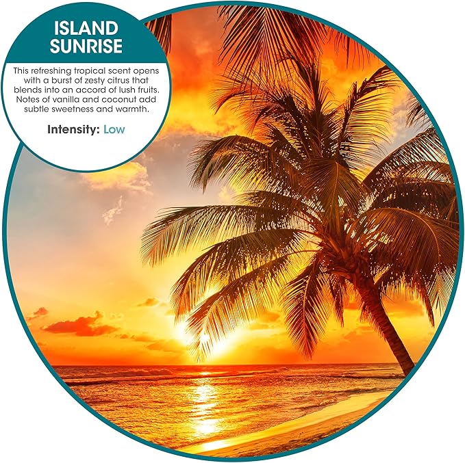 Fresh Products ourfreshe Plug In Air Freshener 30 Day Refills Replace Messy Aerosols with Dry Fragrance For Use in Medium Sized Spaces Island Sunrise 6 Pack