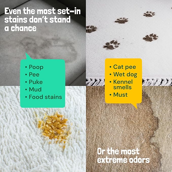 Sunny &amp Honey Turbo Pet Stain and Odor Remover - 40% More Enzymes - Enzyme Cleaner for Dog Urine and Poop on Carpets and Furniture - Pet Carpet Cleaner Spray (32fl oz Mint)
