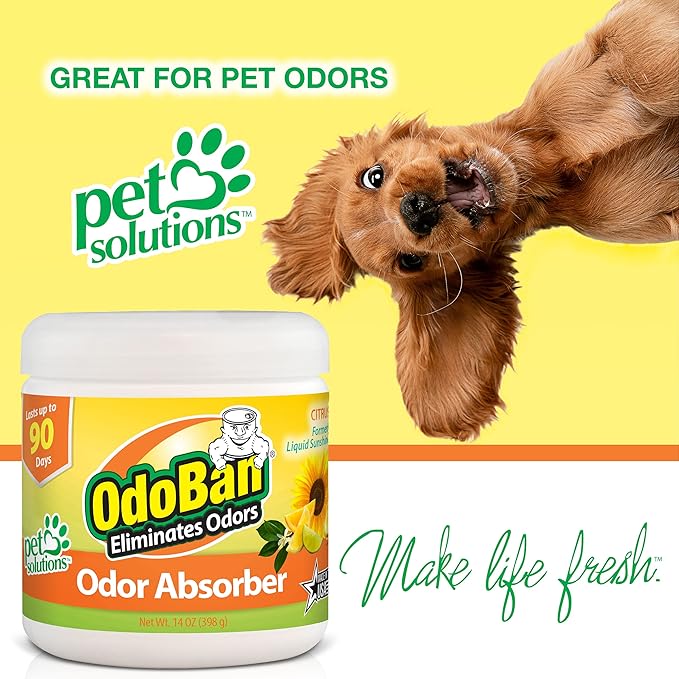 OdoBan Solid Odor Absorber Eliminator for Home and Small Spaces Citrus Scent 14 Ounces Each 6-Pack
