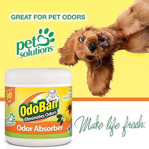 OdoBan Solid Odor Absorber Eliminator for Home and Small Spaces Fresh Linen Scent &amp Solid Odor Absorber Eliminator for Home and Small Spaces Citrus Scent 14 Ounces Each 3-Pack